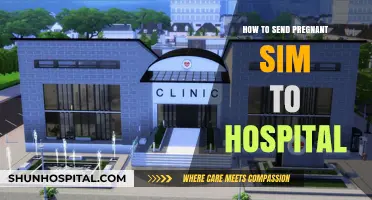 Getting Your Pregnant Sim to the Hospital