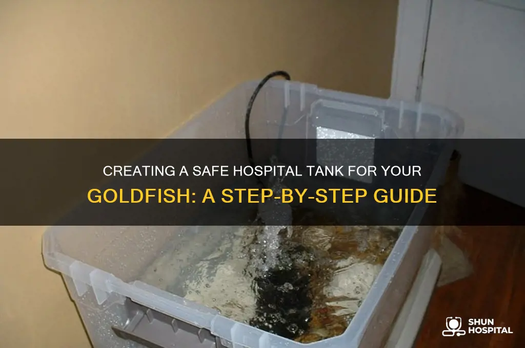 how to set up a hospital tank for goldfish