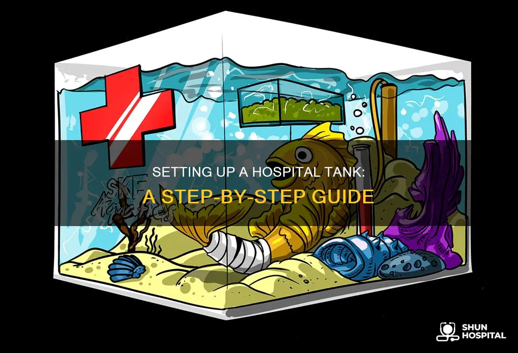 how to set up a hospital tank