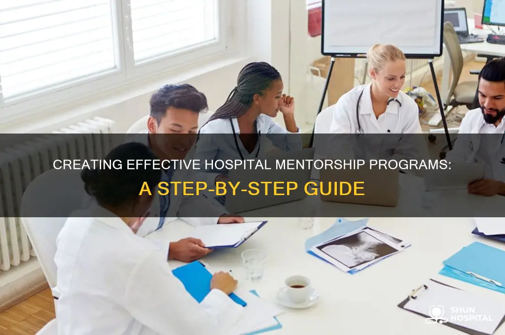how to set up a mentorship program at a hospital
