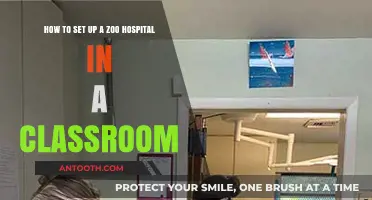 Creating a Classroom Zoo Hospital: A Step-by-Step Setup Guide