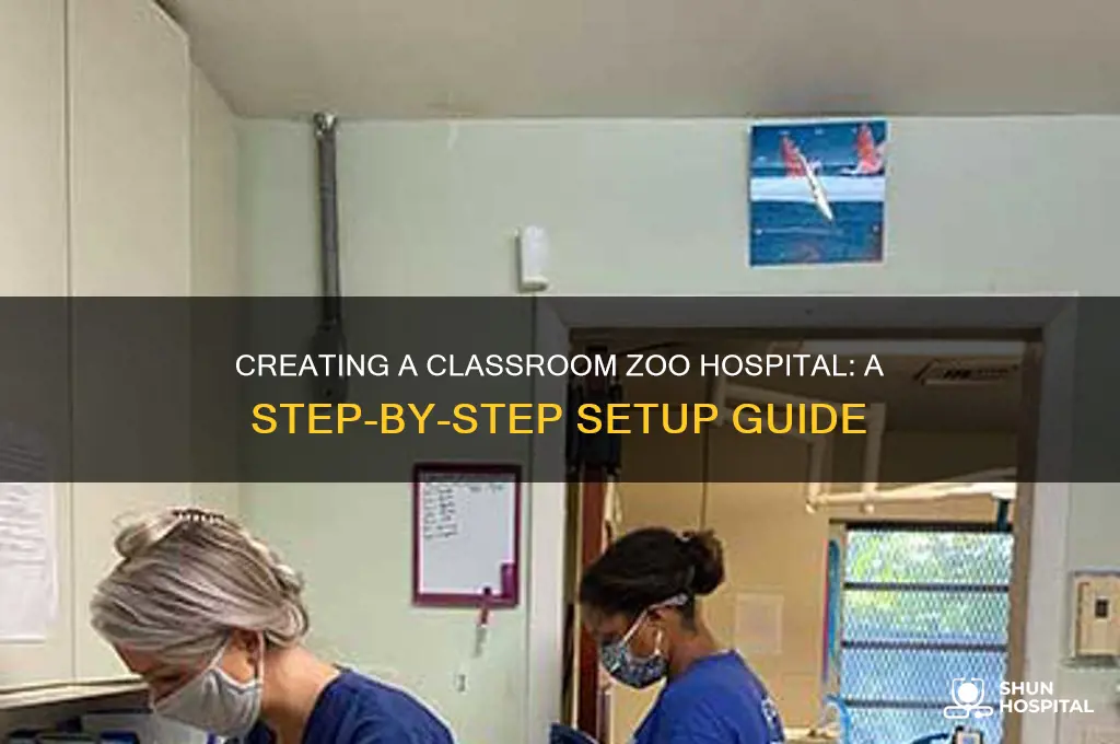 how to set up a zoo hospital in a classroom