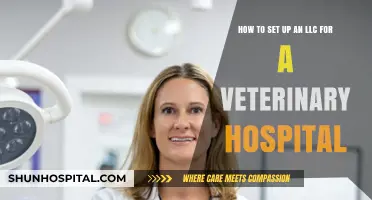 Setting Up Your Veterinary Hospital LLC: A Step-by-Step Guide