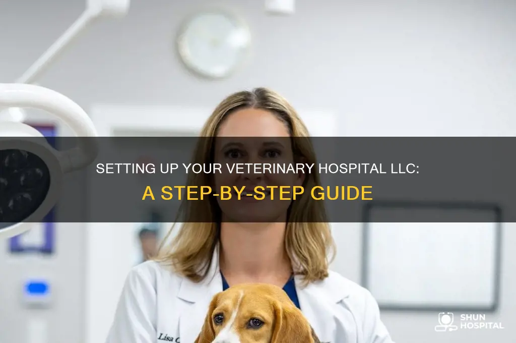 how to set up an llc for a veterinary hospital