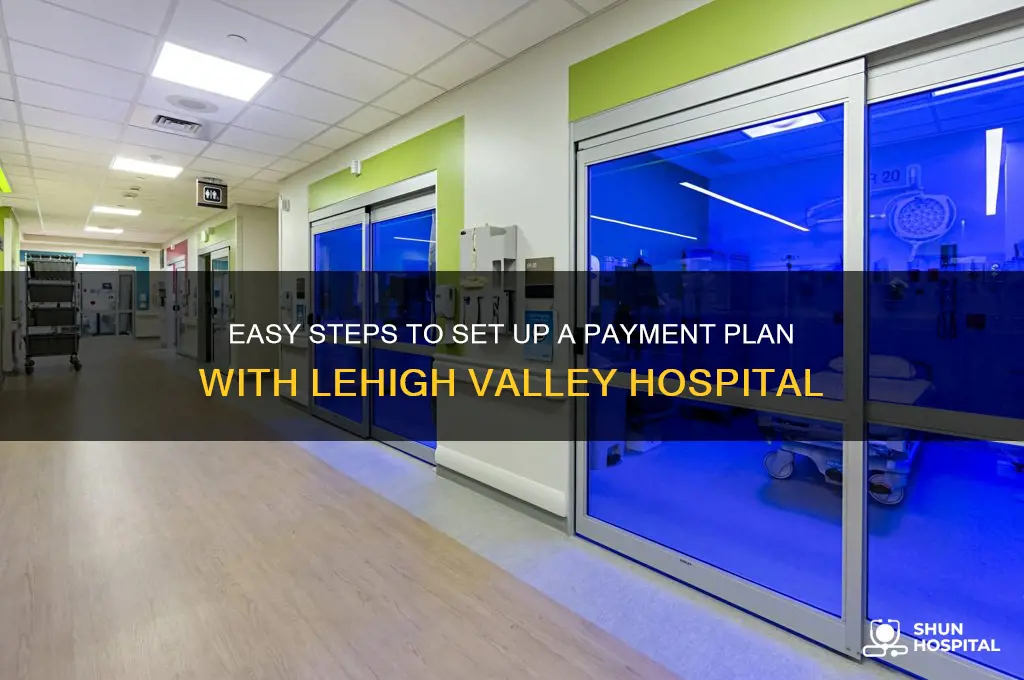 how to set up payment plan for lehigh valley hospital