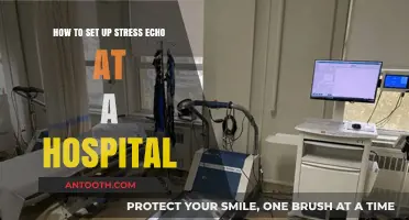 Setting Up Stress Echo: A Comprehensive Hospital Implementation Guide