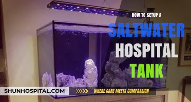 Setting Up a Saltwater Hospital Tank: A Step-by-Step Guide