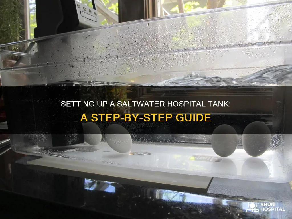 how to setup a saltwater hospital tank