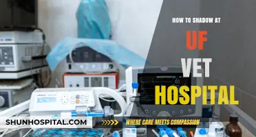 Shadowing at UF's Vet Hospital: A Guide