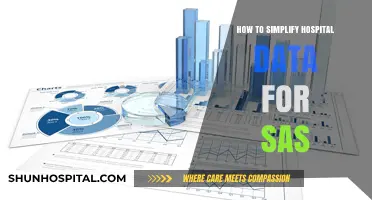 Streamlining Hospital Data for SAS: A Simplified Approach