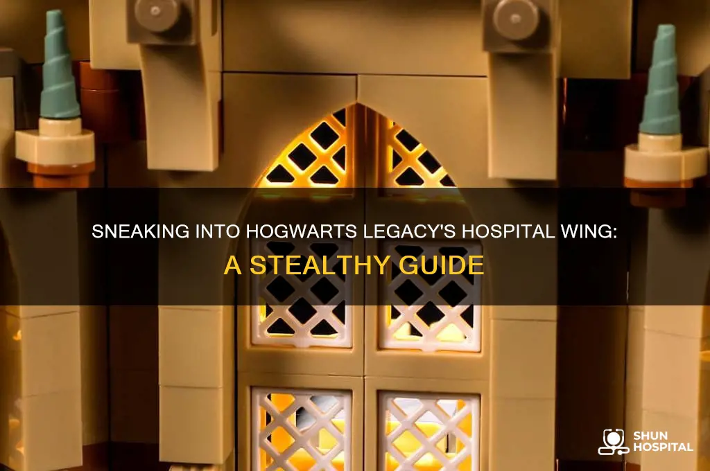 how to sneak in to hospital wing hogwarts legacy