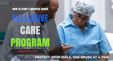 Launching a Hospital-Based Palliative Care Program: Essential Steps and Strategies