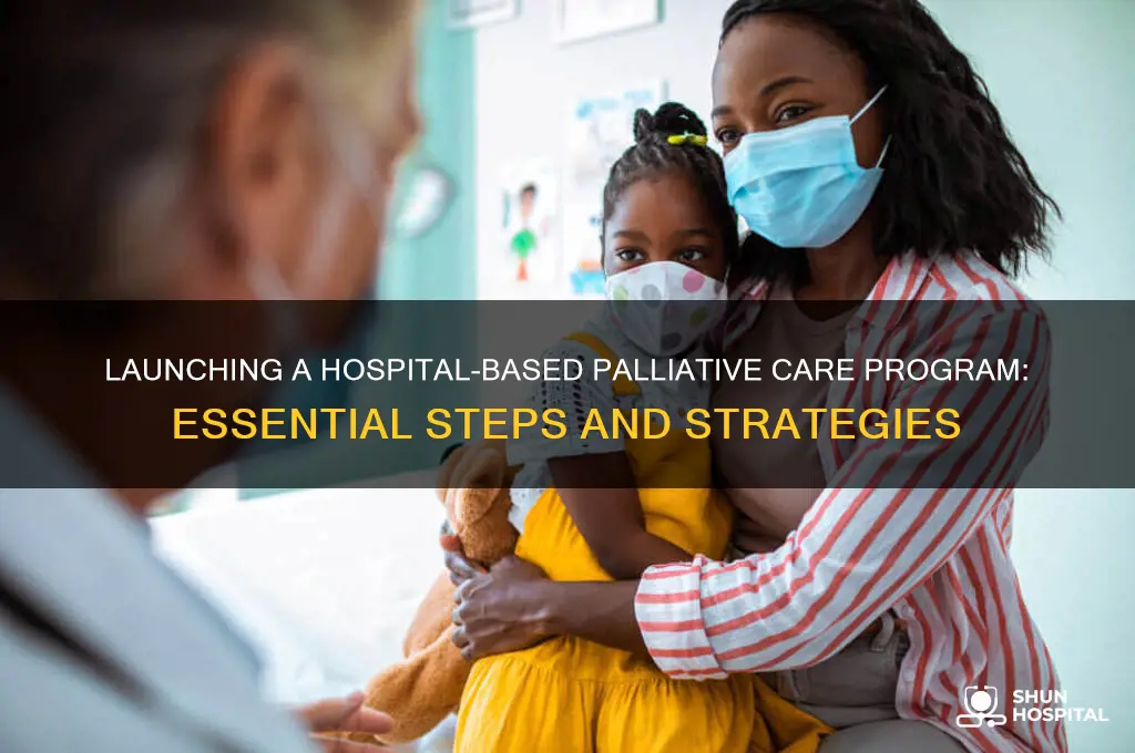 how to start a hospital based palliative care program