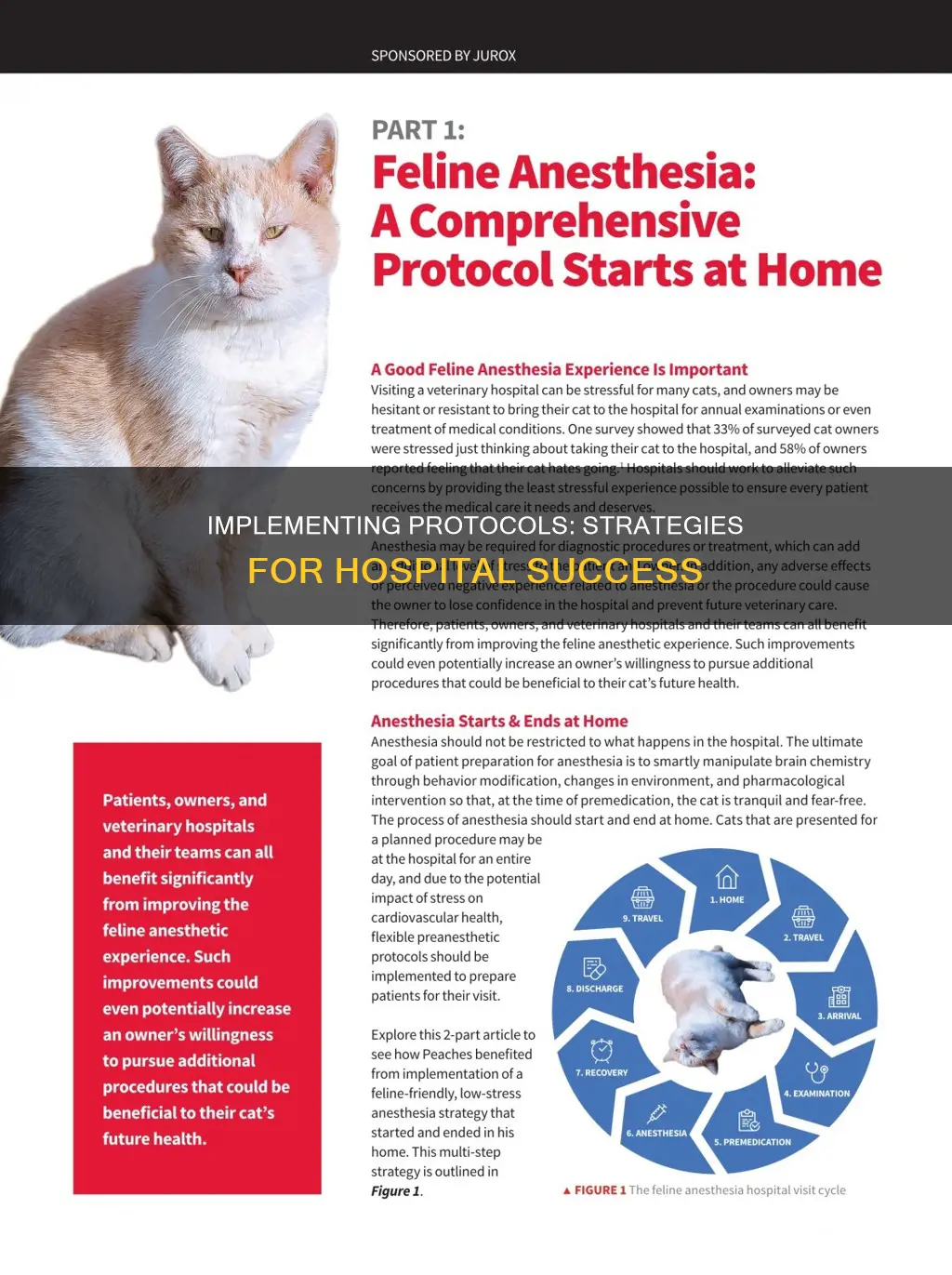 how to successfully implement protocols in hospitas
