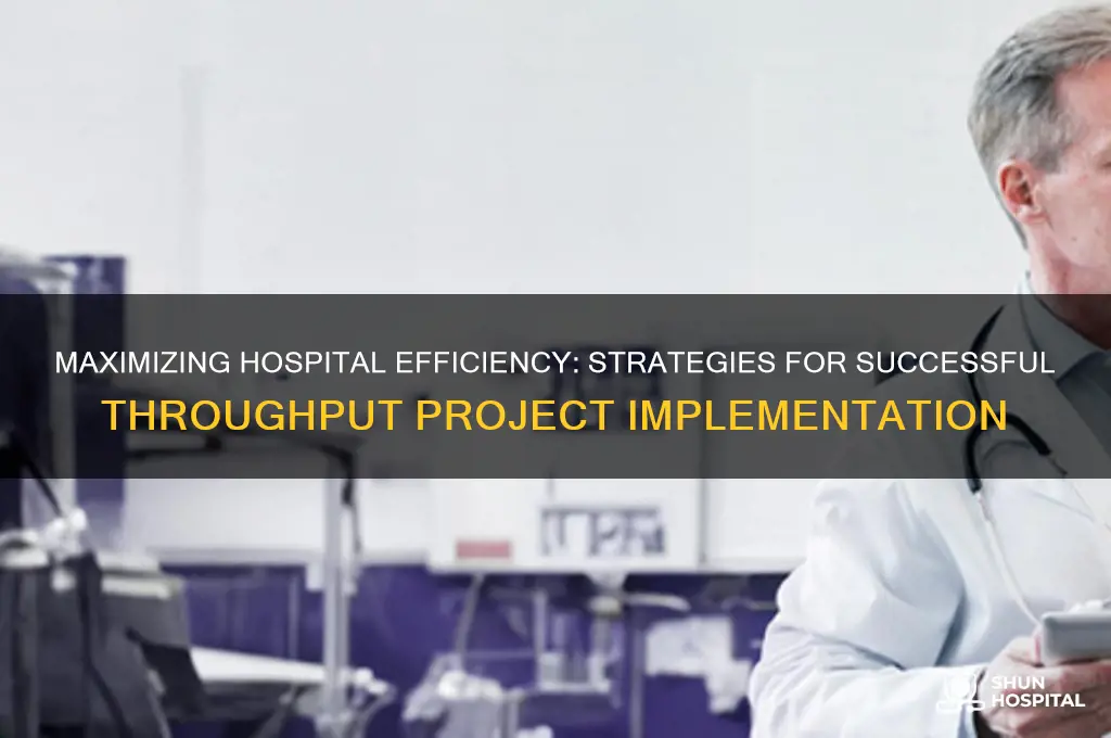 how to successfully implement throughput projects in a hospital
