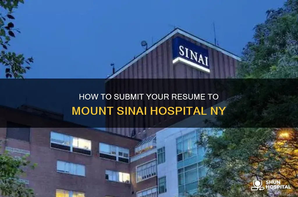 how to summit my resume to mount sinai hospital ny