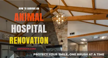 Navigating an Animal Hospital Renovation: Tips for Survival