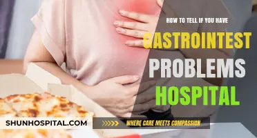 Recognizing Gastrointestinal Issues: When to Seek Hospital Care