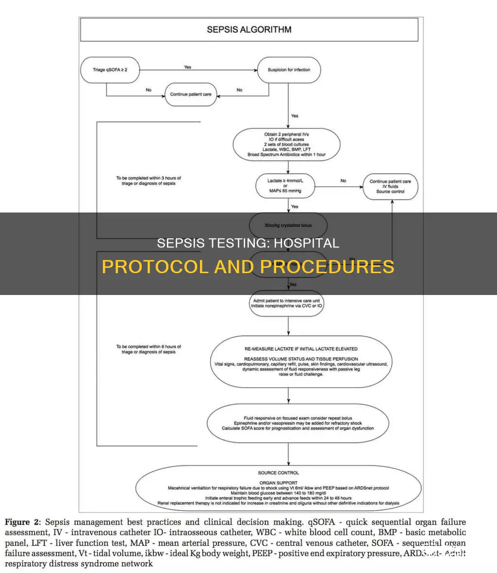 how to test for sepsis in hospital