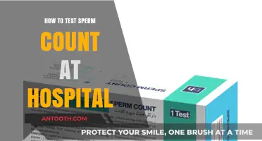 Hospital Sperm Count Testing: What to Expect