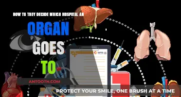 Organ Allocation: How Hospitals Are Selected for Life-Saving Transplants