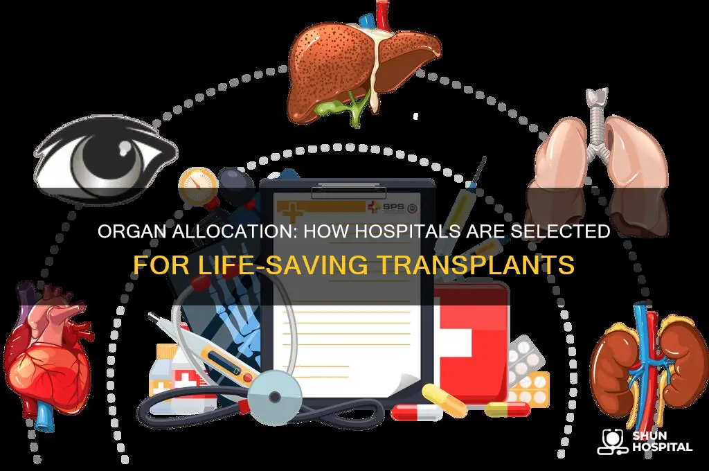 how to they decide which hospital an organ goes to
