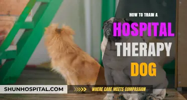Training Therapy Dogs: A Hospital's Best Friend