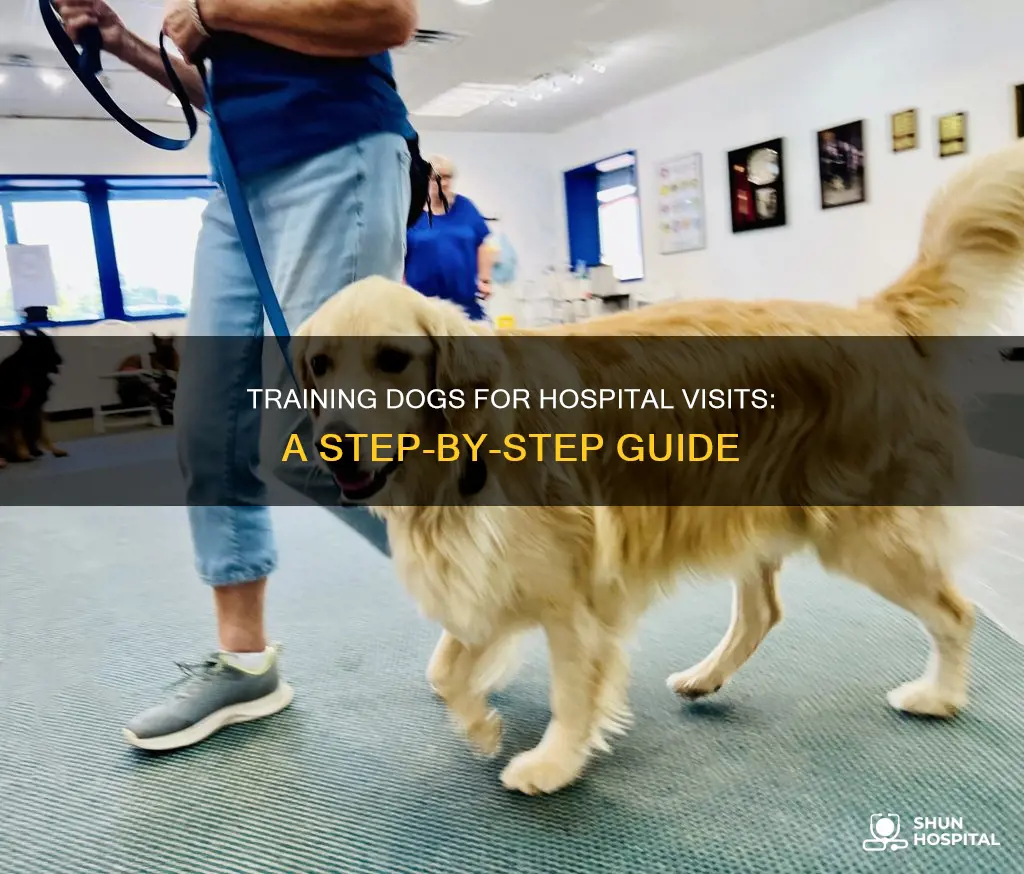 how to train dog to visit hospitals