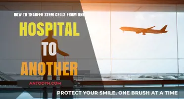 Safe and Efficient Stem Cell Transport: A Hospital-to-Hospital Guide