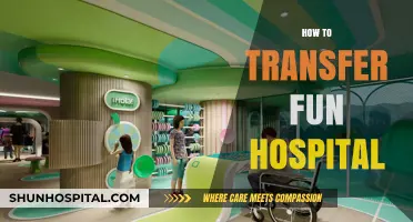 Transforming Healthcare: Creative Strategies to Transfer Fun Hospital Initiatives