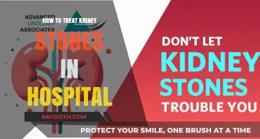 Treating Kidney Stones: Hospital Procedures and Options