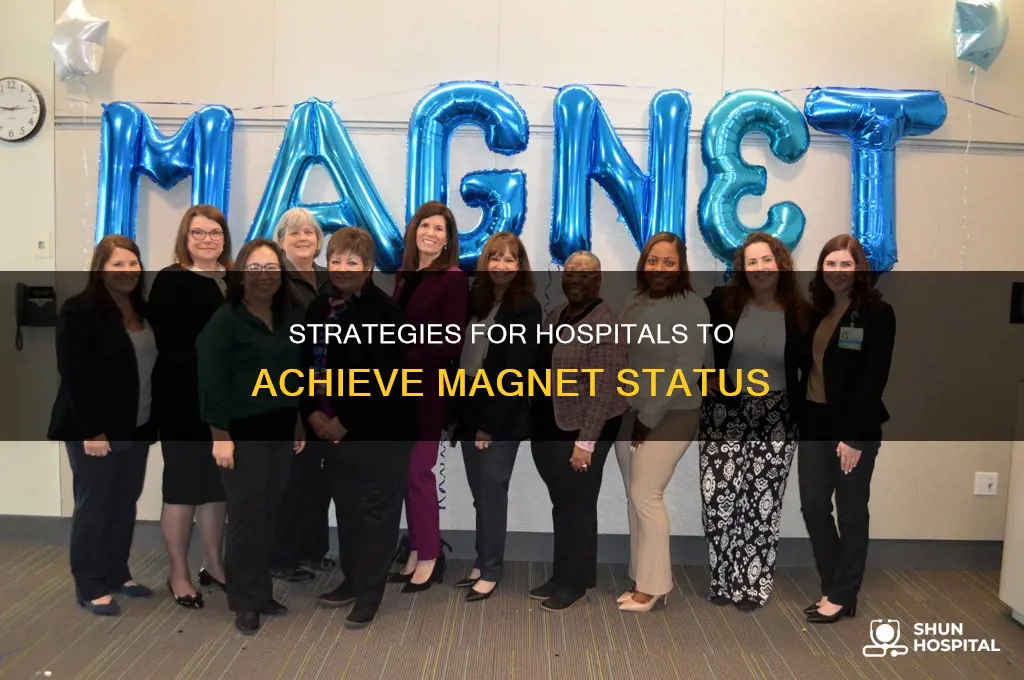 how to turn hospitals into magnet status