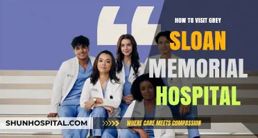 Exploring Grey Sloan Memorial: A Fan's Guide to Visiting