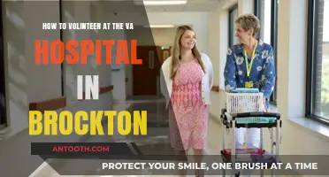 Volunteering at Brockton VA Hospital: A Guide to Getting Started