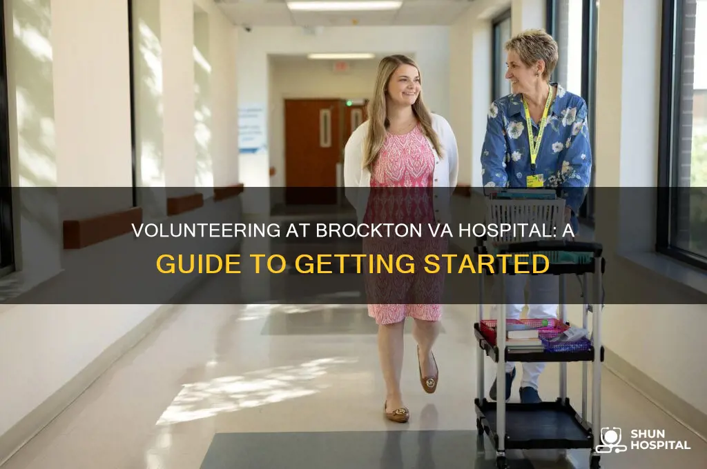 how to volinteer at the va hospital in brockton
