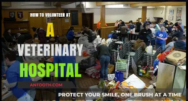 Volunteering at a Veterinary Hospital: A Step-by-Step Guide