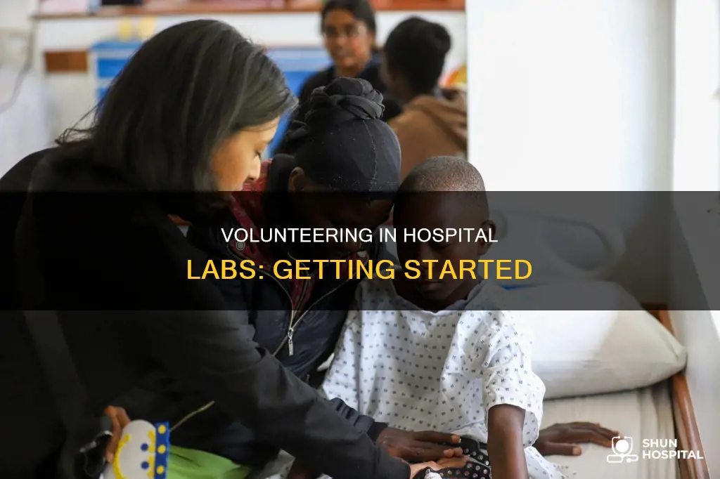 how to volunteer in a hospital lab