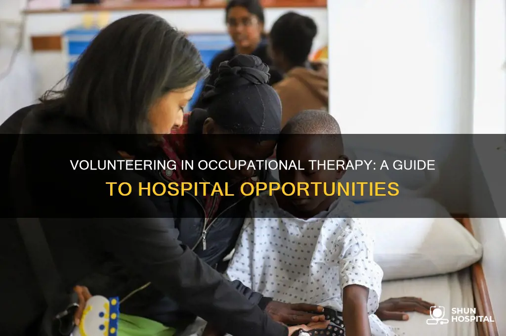 how to volunteer in the occupational therapy department at hospital
