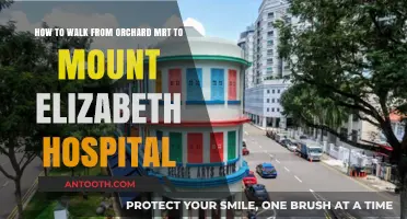 Easy Walking Guide: Orchard MRT to Mount Elizabeth Hospital Route