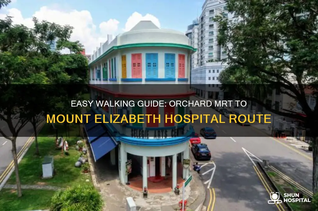 how to walk from orchard mrt to mount elizabeth hospital