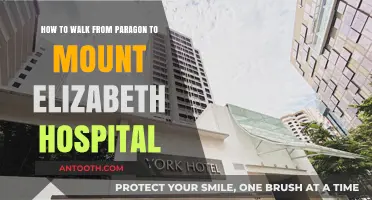 Walking Guide: Paragon to Mount Elizabeth Hospital Route Explained