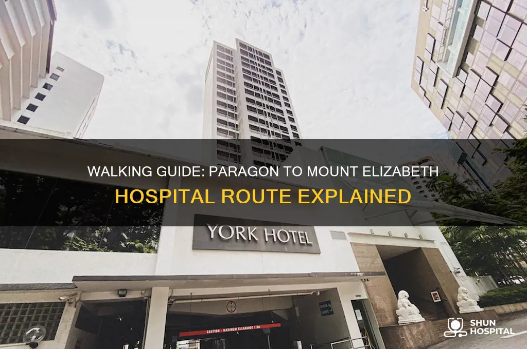 how to walk from paragon to mount elizabeth hospital