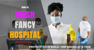 Mastering the Art of Cleaning: A Guide to Washing Fancy Hospitals
