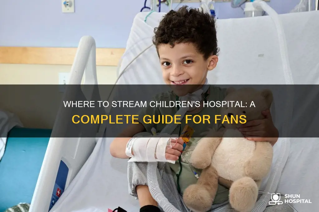 how to watch childrens hospital