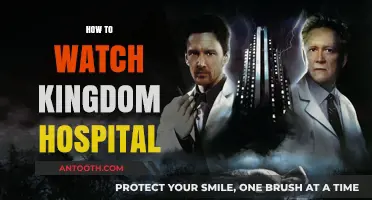 Where to Stream Kingdom Hospital: A Complete Guide for Fans