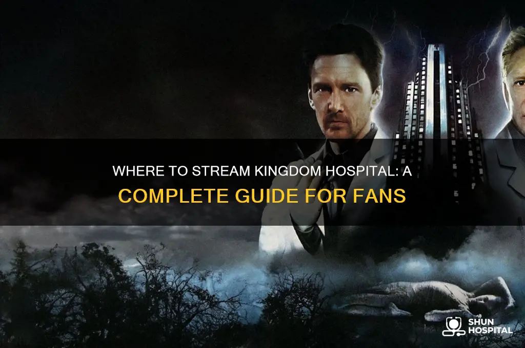 how to watch kingdom hospital