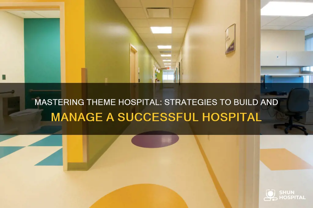 how to win theme hospital