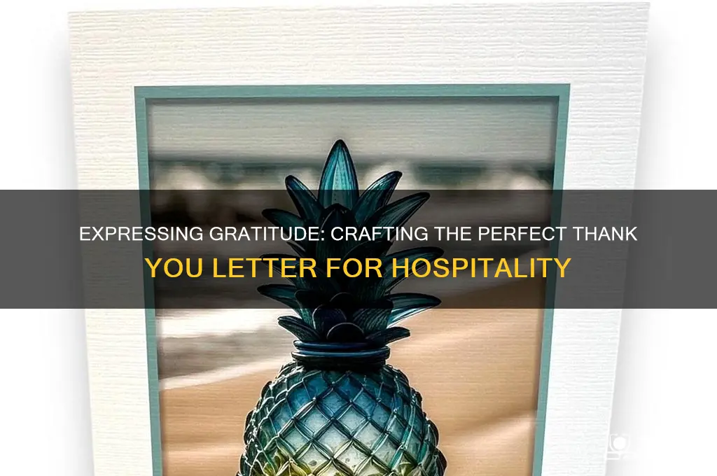 how to write a thank you letter for hospitality