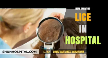 Effective Lice Treatment Protocols in Hospital Settings: A Comprehensive Guide