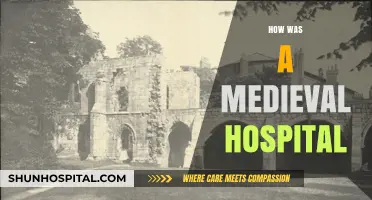 Medieval Hospitals: Unveiling the Healing Practices of the Middle Ages